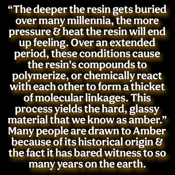 🧡 Learn About Amber 💛 - Picture 5 of 16